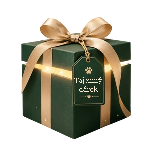 Tajemný dárek